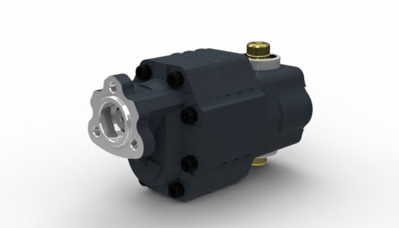 30 SERIES DPV GEAR PUMP